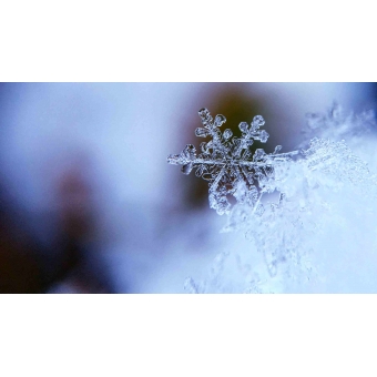 12/12 - Gongconcert 'Winter Secrets' - Torhout